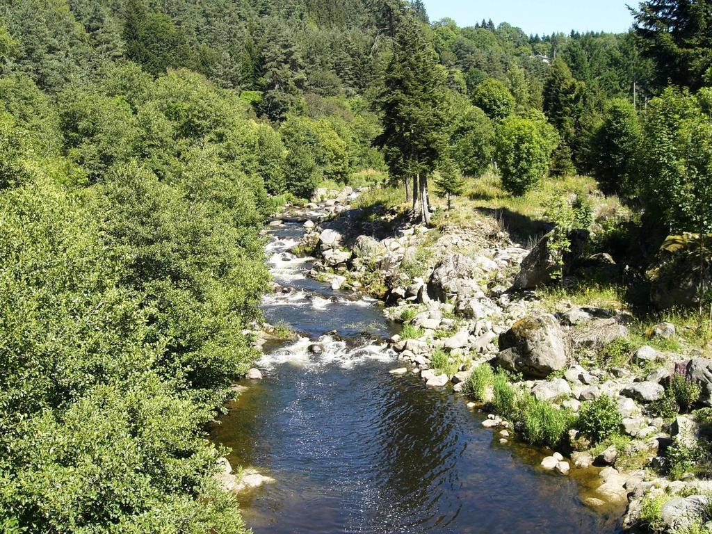 Vvf Haute Loire Haute Ardeche Tence Exterior foto